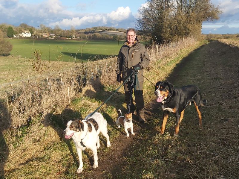 Bramble Cottage Dog Boarding and Training