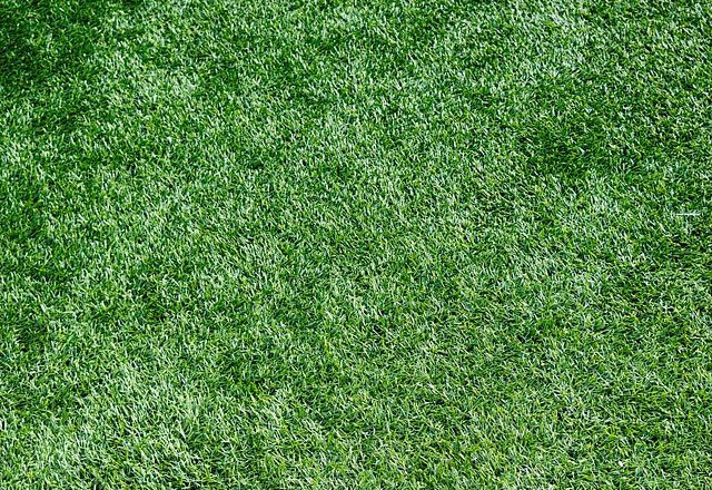 Suppliers and installers of artificial grass in London