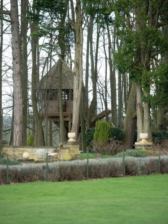 gardens of easton lodge tree house