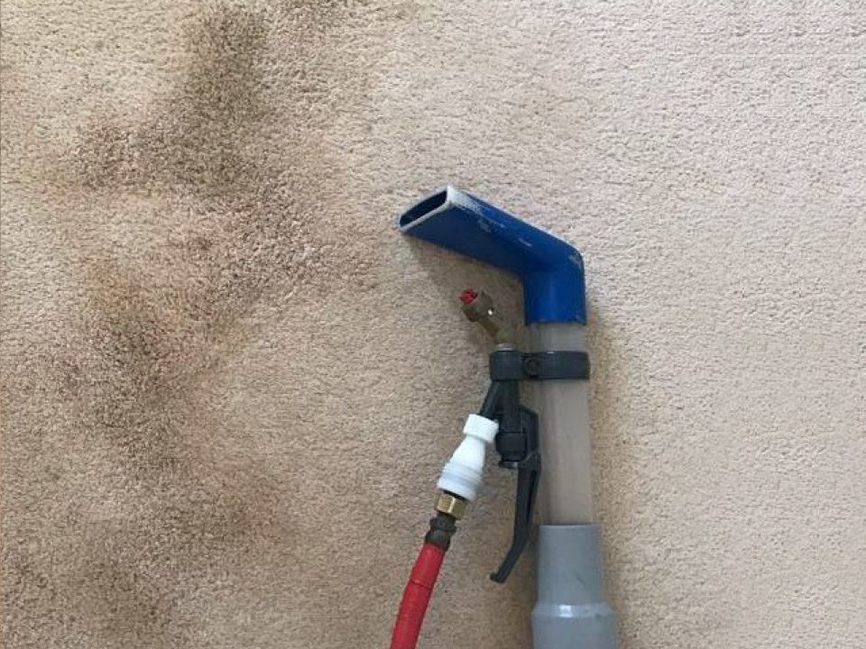 carpet and upholsery cleaning dunmow